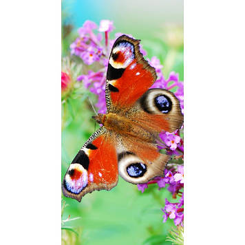 Обігрівач картина енергоощадна Shine "Метелик" 100 х 50 см