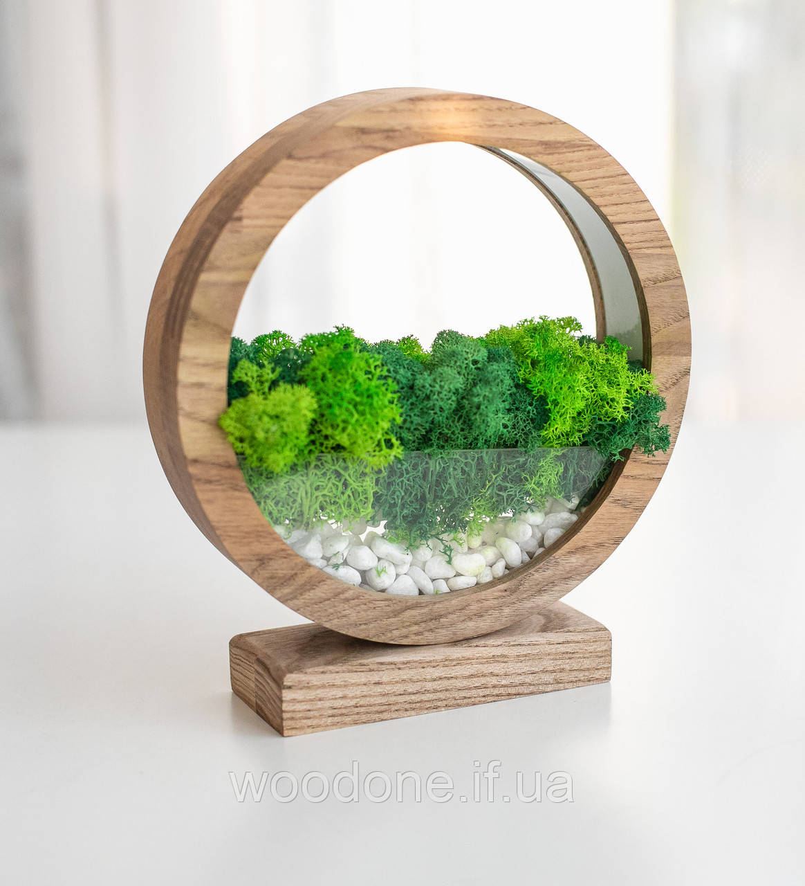 Круглий нічник з стабілізованим мохом,  діаметр 20 см, фото 1
