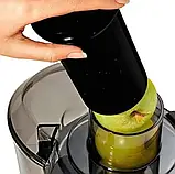 Соковижималка електрична 4в1 (блендер, міміксер, кавомолка) 3000 Вт Zepline ZP-122 Універсальний кухонний до, фото 8