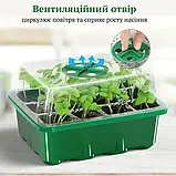 Мінішатник для вирощування насіння розсади з регулюванням вологості, фото 2