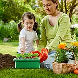Мінішатник для вирощування насіння розсади з регулюванням вологості, фото 6