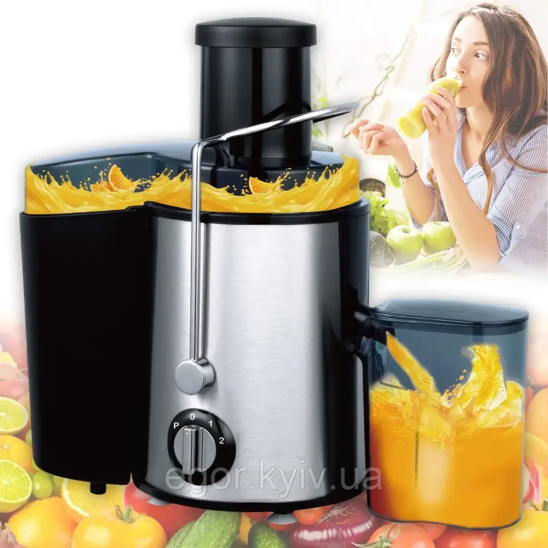 Соковижималка електрична з неіржавкої сталі потужністю 1000 Вт RAF R.2817S, фото 1