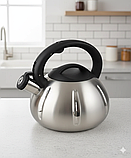 Чайник для електричних і газових плит Rainberg RB-627 3 л зі свистком, з неіржавкої сталі, фото 2