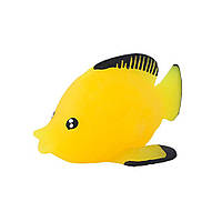 Дитяча іграшка антистрес "Зебрасома" C2971(Yellow)