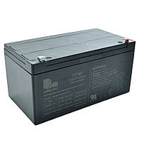 Акумуляторна батарея універсальна LONG WAY 24V7AH-BATTERY