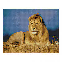 Алмазна Мозаїка за номерами