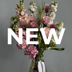 НОВИНКИ / АКЦІЇ