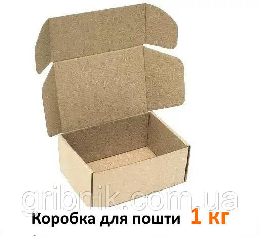 Коробка самозбірна на 1 кг - 240 × 170 × 100 - стандартна