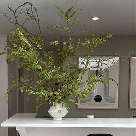 Елементи Декора, Декорації