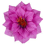 Жоржина Корона, 17см, фото 3