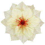 Жоржина Корона, 17см, фото 4