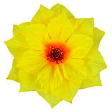 Жоржина Корона, 17см, фото 5