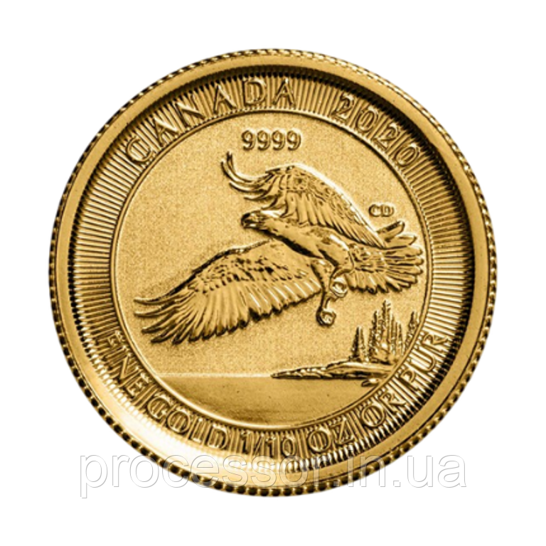 Золота монета 5 доларів 2020 року Canadian Golden Eagle із золота Au .9999 вагою 1/10 унції — інвестиційна монета Канади, фото 1