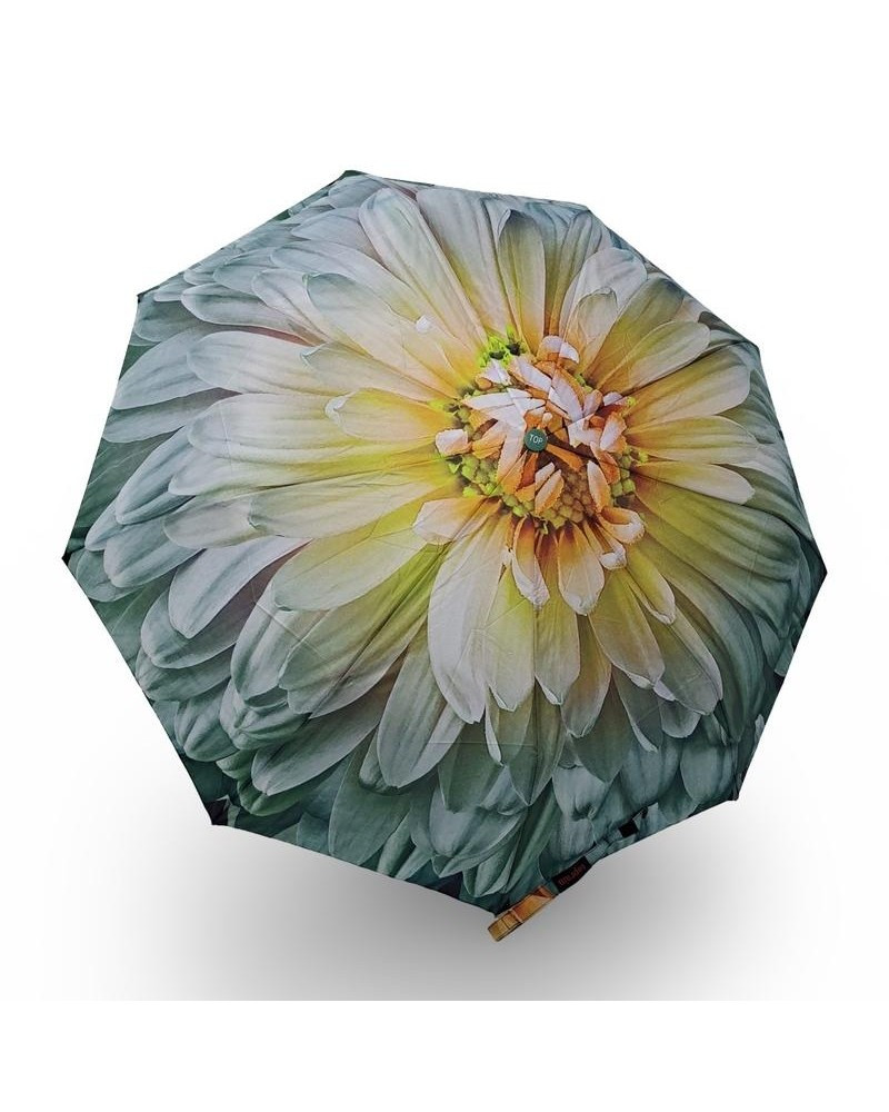 Парасолька жіноча автомат Toprain №704(3) Велика Квітка 9 спиць 3 складання, фото 1