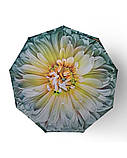 Парасолька жіноча автомат Toprain №704(3) Велика Квітка 9 спиць 3 складання, фото 2