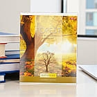 Набір зошитів "Мрії" в лінію 60 аркушів "mix" Упаковка 12 шт., фото 3