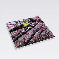 Ваги для підлоги Maestro - MR-1823 (MR-1823)