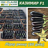Баклажан КАЗИМИР F1, HM. Clause (Франція), 1000 насінин