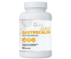 Гастрокалм НЕО максі (Gastrocalm NEO) для ШКТ 90 капсул А Лайн (Арт Лайф)