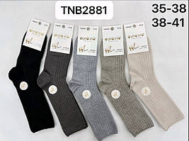 Шкарпетки жіночі Aura.via, термо