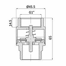 Клапан зворотний Thermo Alliance Standart 1"ВЗ із латунним штоком TAS248W25, фото 2
