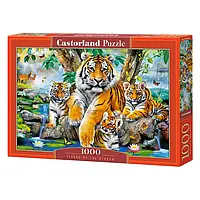 Пазл "Тигри в будинку", 1000 елементів Castorland (5904438104413)