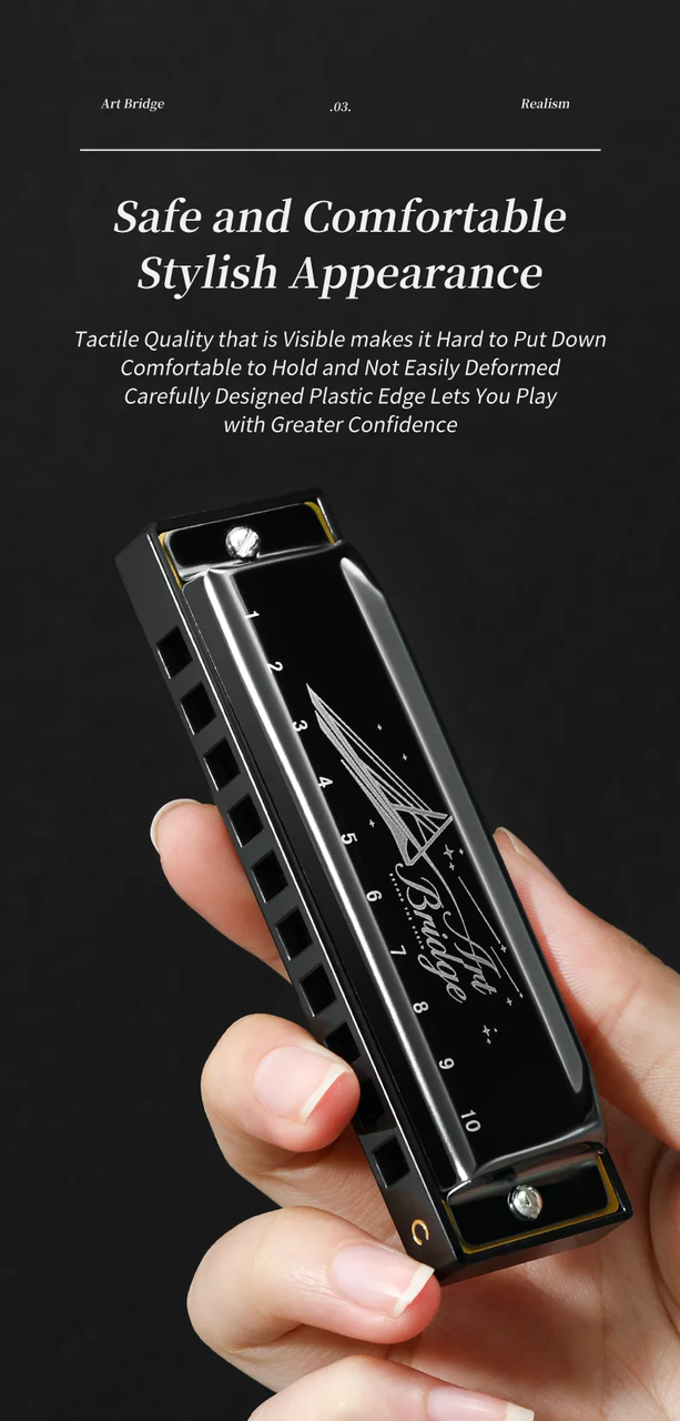 Губна гармоніка Blues Harmonica 10 отворів, тональність C (з футляром) чорна, фото 1