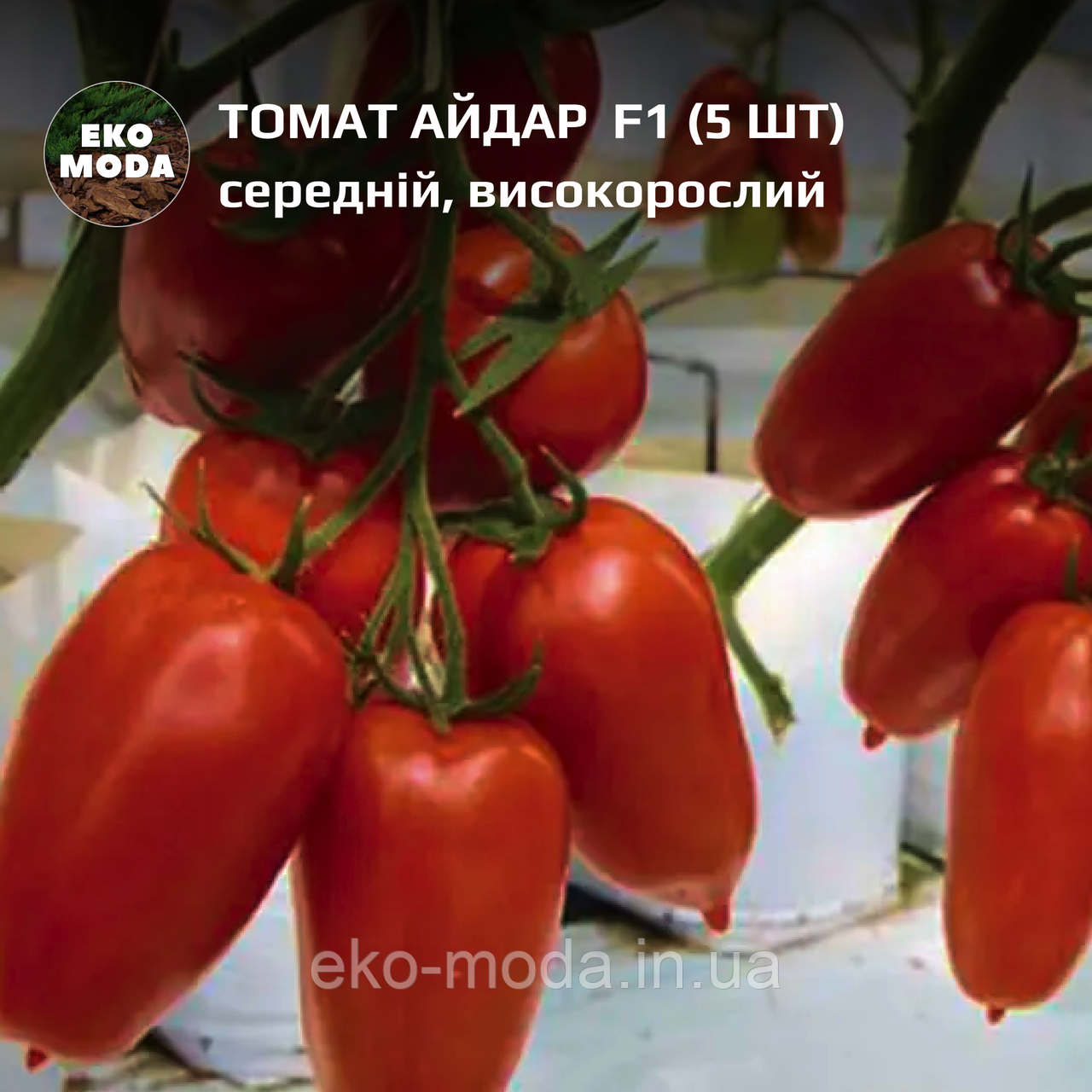 Томат Айдар F1 середній, високорослий, (5 шт, zip-пакет)