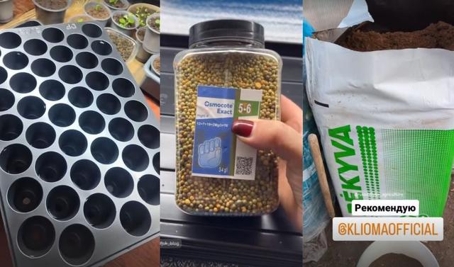 акція відгук інстаграм, отримай бонус за відгук, кліома сервіс