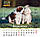 Свято кожен день. Календар 2026 Кіт та пес, фото 2