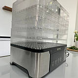 Дегідратор Сушилка для овочів та фруктів 1000 Вт з 5 прозорими піддонами з таймером автовимкненням, фото 4