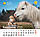 Свято кожен день. Календар 2026 Рік коня. Funny horse, фото 5