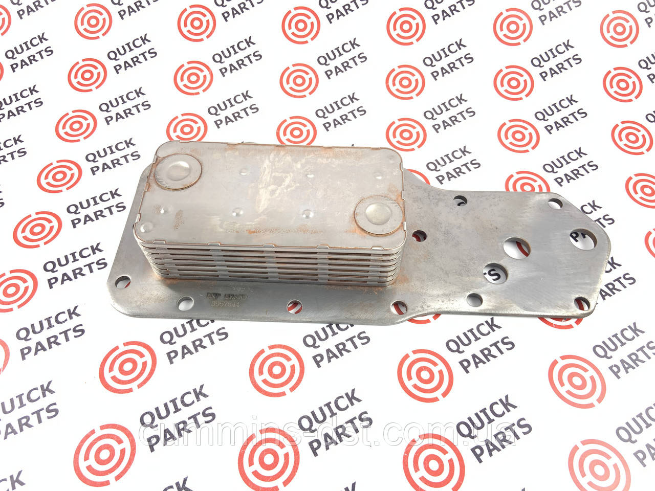 3957544/3921558/3918293 Радіатор охолодження масла на двигун Cummins 6B5.9, фото 1