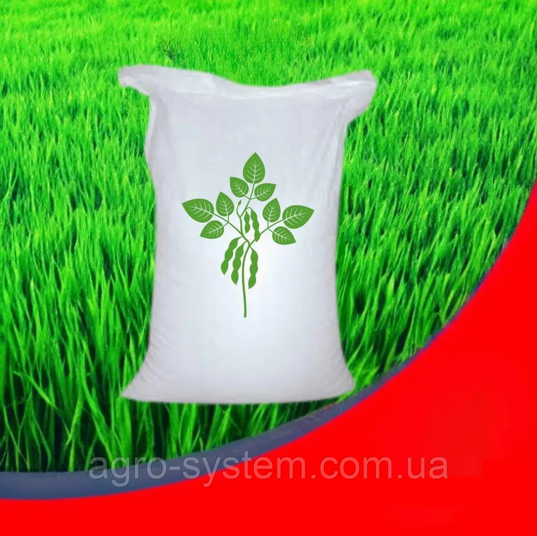 Насіння сої Аполло під Раудап Еліта, фото 1