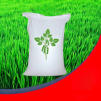 Насіння сої ранньої S007-Y4 під Раудап Еліта