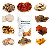 Супермікс 10 в 1 XXXL (суміш грибних екстрактів), фото 3