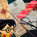 Полная коллекция атрибутики из мира Гарри Поттера от Карнавал Приколов!