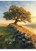 Зошит A4 80арк. кліт. карт. "Student" Уф-лак №A4-080-5249K/Школярик/(6) (42)