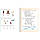 НУШ-2 Зошит з навчання грамоти 1 клас Частина 2 до пiдручника Іщенко, Логачевської Літера (2025 рік), фото 3