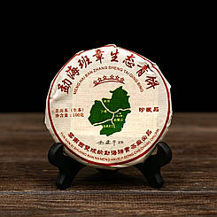 Чай Шен Пуер "Бань Чжан Еко Ча" 100 грам 2018 рік