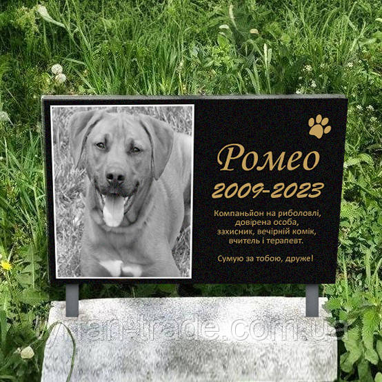 Пам'ятник тварині вихованцеві