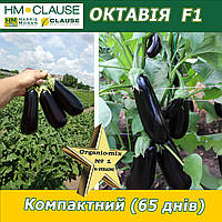 Баклажан Октавія F1,  HM. Clause (Франція), 1000 насінин