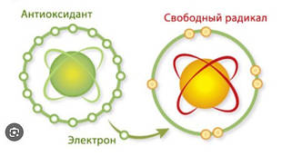 Протипухлинні, онкопротекторні препарати, антиоксиданти