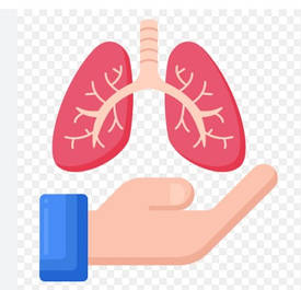 Дихальна система, грип, застуда, пневмонія, бронхіт, синусит, гайморит