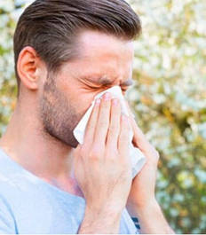 Препарати проти алергії