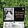 Ритуальні таблички для хатніх вихованців із металу на ніжці-штирі на могилку, фото 7