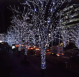 Вулична світлодіодна гірлянда 30 м великі каплі роси 300Led Холодний білий колір, фото 4