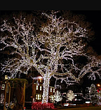 Вулична світлодіодна гірлянда 30 м великі каплі роси 300Led Холодний білий колір, фото 5