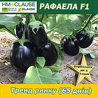 Баклажан круглий РАФАЕЛА F1, HM. Clause (Франція), 1000 насінин