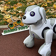 Собака на радіокеруванні “Buddy” | Песик на пульті керування | Собака-робот на радіоуправлінні, фото 6